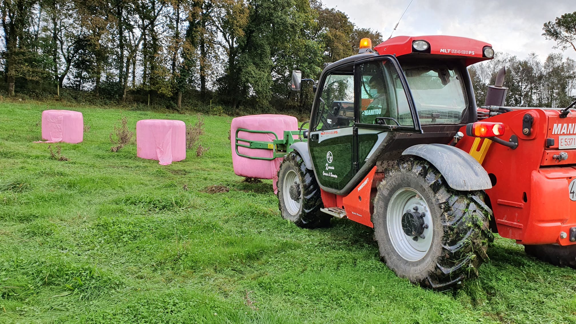 Agroforestal Xanceda colocando rulos de hierba para el lazo rosa